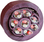 GAC-8pair