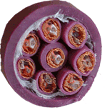 GAC-8pair